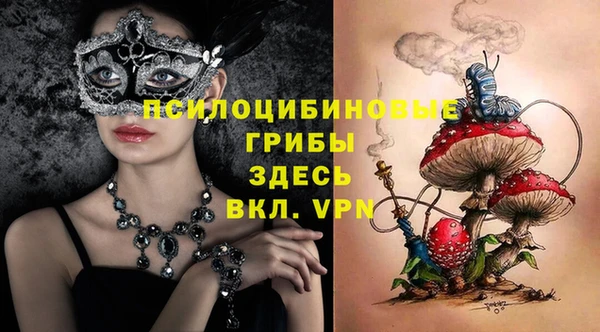 ешки Алексин