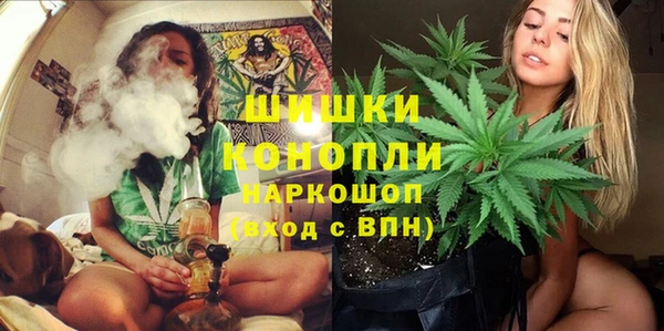 ешки Алексин