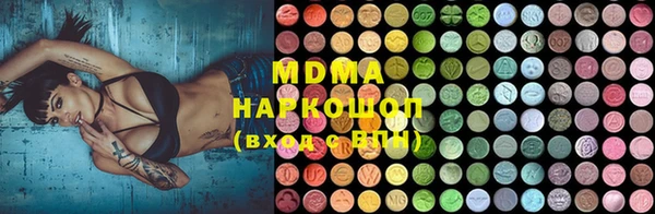 ешки Алексин